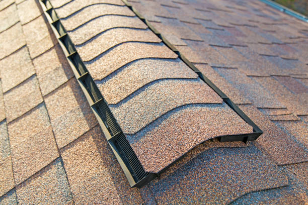 istock Roof Shingles with Ridge Vent 1051510550