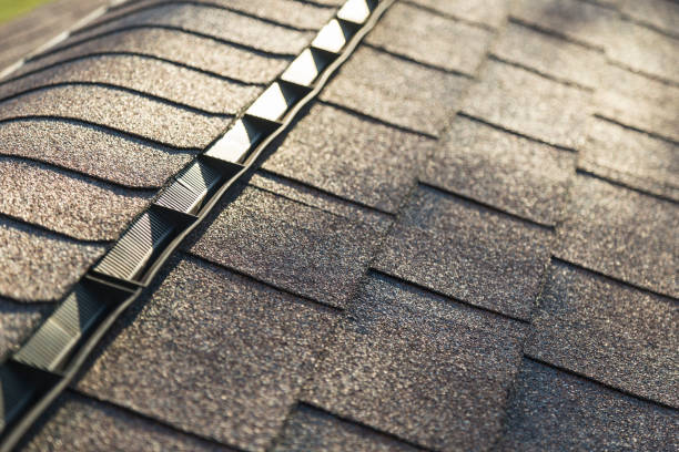 istock Roof Shingles with Ridge Vent 1051510688