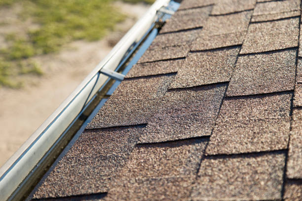 istock Roof Shingles and Clogged Rain Gutte 1051510692