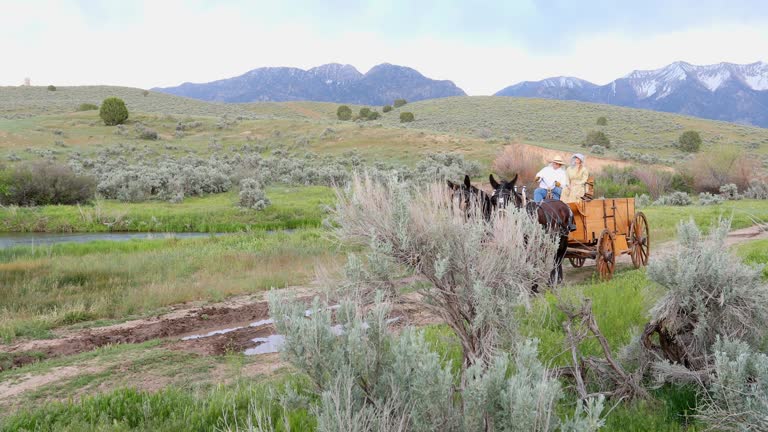 Wild West Style Wagon in the Wilderness