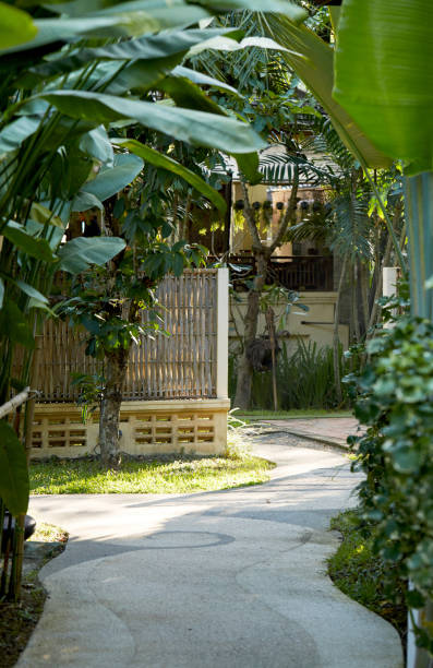 istock Southeast Asian style garden trail 1051537940