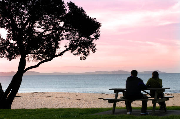 istock Young couple watching the sunset 1051555240