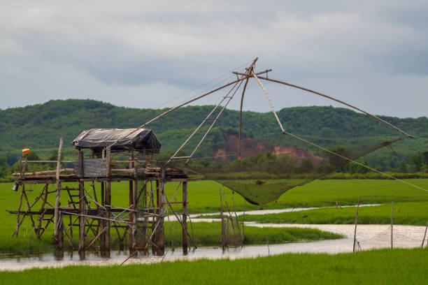 istock Fishing net  trap in the river 1051560502
