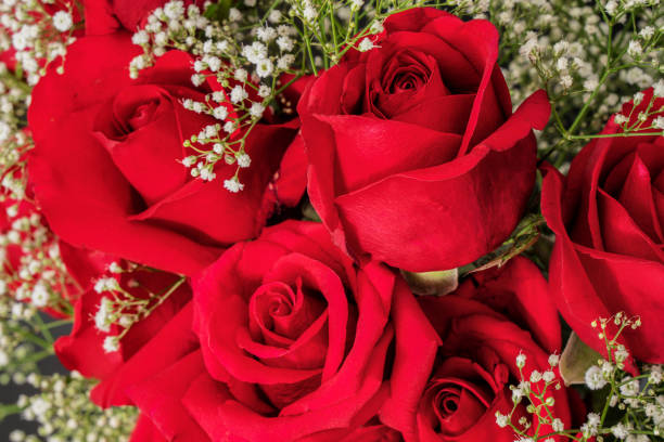 istock background of red rose arrangement 1051563872