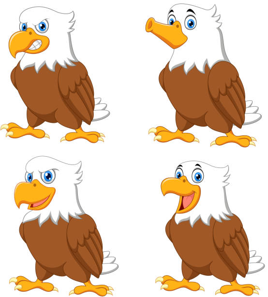 ilustraciones, imágenes clip art, dibujos animados e iconos de stock de sistema de la colección de dibujos animados águilas - eagles