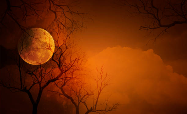 pełnia księżyca z halloweenowym tłem - cemetery halloween moon spooky zdjęcia i obrazy z banku zdjęć