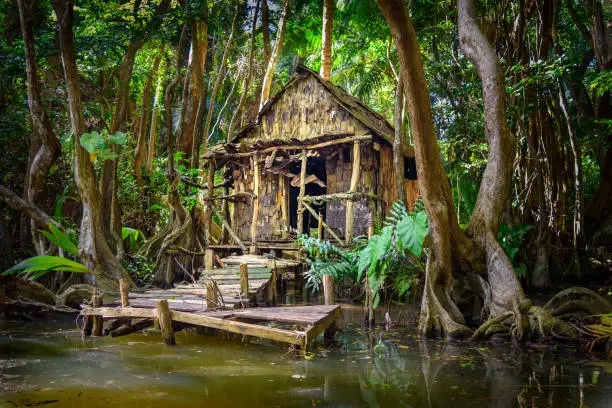 Cabin in the forest and mangrove on a river bank at the indian river in Dominica, house is used in pirates of the caribbean movie as calypso's house. altered with computer graphics from its original