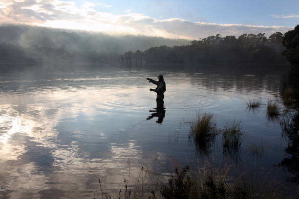 A fly fisherman in Tasmania stock photo