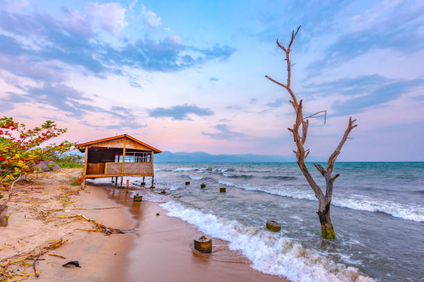 House and tree in Lake Burundi Burundi Bujumbura lake Tanganyika, windy cloudy sky and sand beach at sea lake in East Africa, Burundi sunset with house from wood and dead tree in the sea burundi east africa stock pictures, royalty-free photos & images
