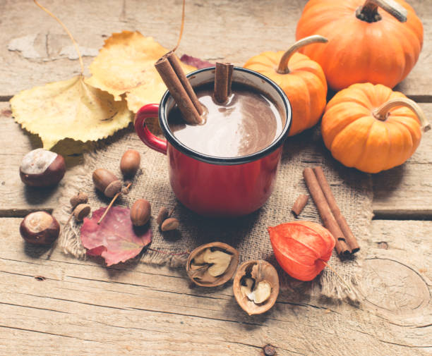 istock Hot chocolate in cup  with cinnamon sticks/toned photo 1051638736