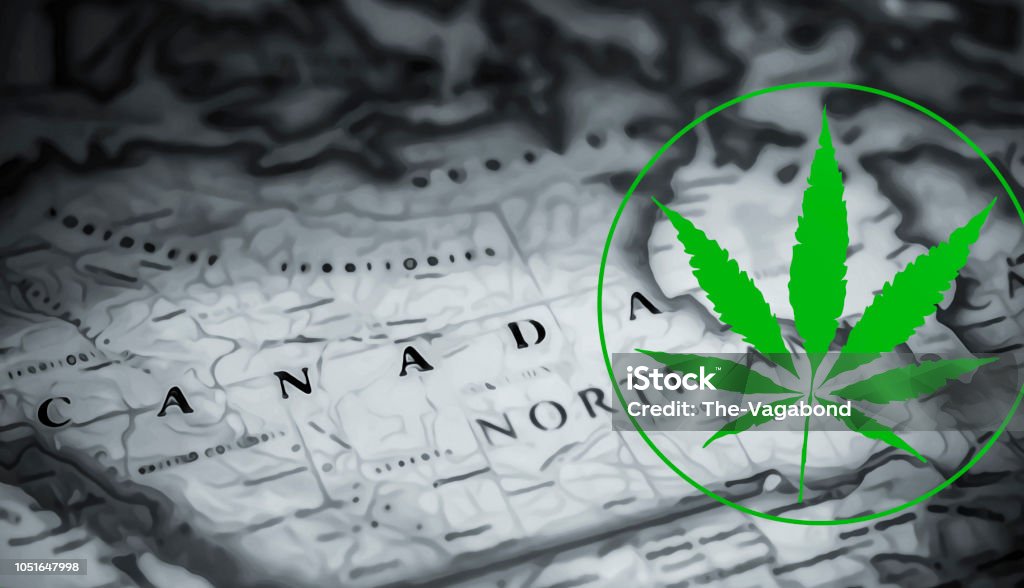Visit Canada and smoke up! Cannabis Plant Stock Photo