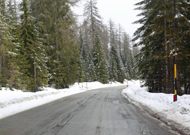 istock mountain road with fir trees and  snow 1051654944