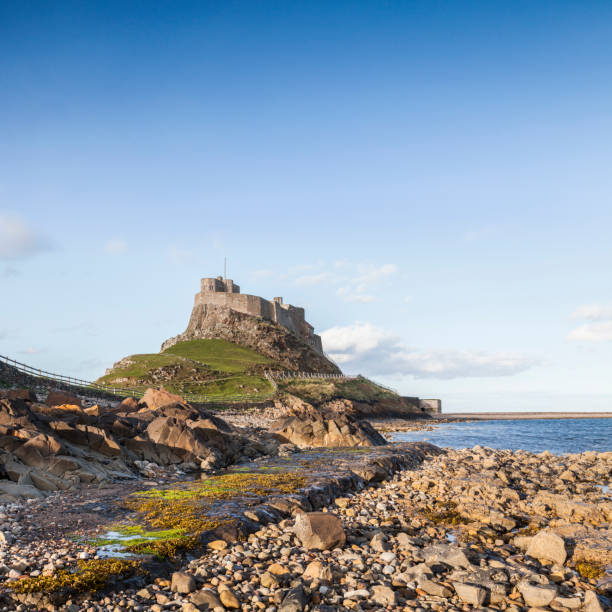 замок линдисфарн, святой остров, нортумберленд, великобритания - lindisfarne стоковые фото и изображения