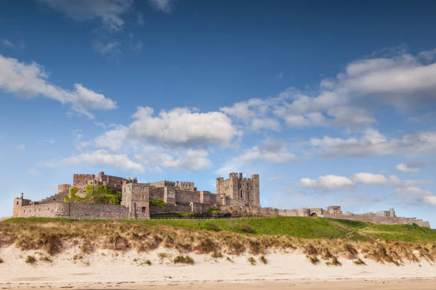 bamburgh castle northumberland england - bamburgh beach imagens e fotografias de stock