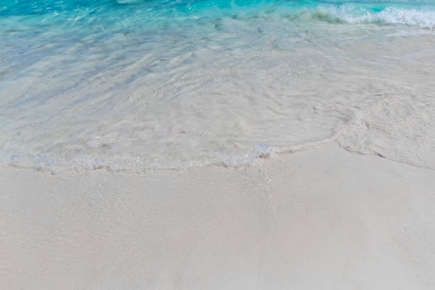 istock Sea surf on the beach with coral sand. 1051660204