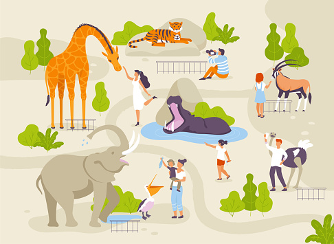 Zoo park with funny animals and people interacting with them vector flat illustrations. Animals in zoo infographic elements with adults and children cartoon characters walking in the park map creating.