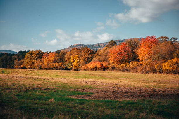 istock Beautiful orange autumn meadow and trees 1051677954