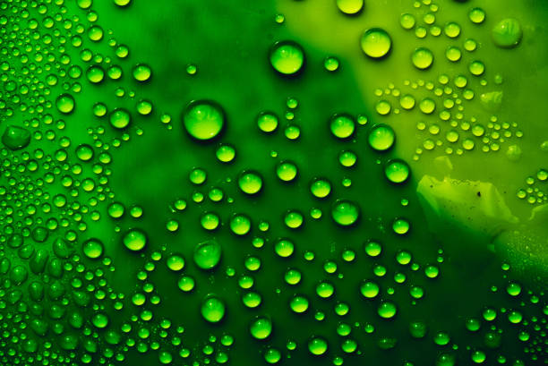 istock Macro Droplets on Deep Green 1051679060