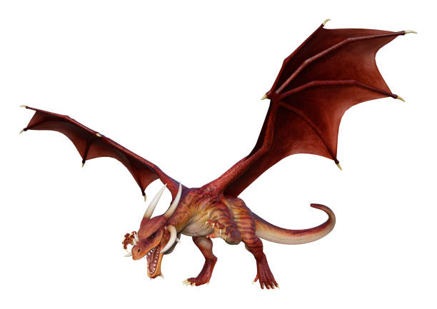 istock 3D illustration red fantasy dragon on white 1051681900