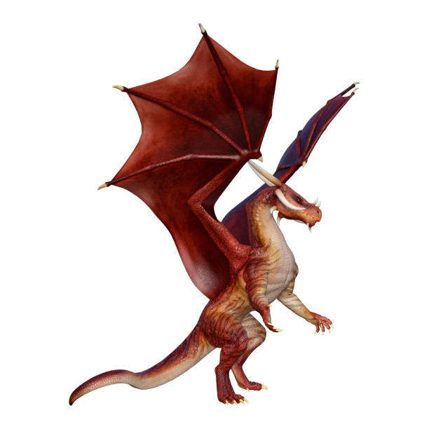 istock 3D illustration red fantasy dragon on white 1051681904