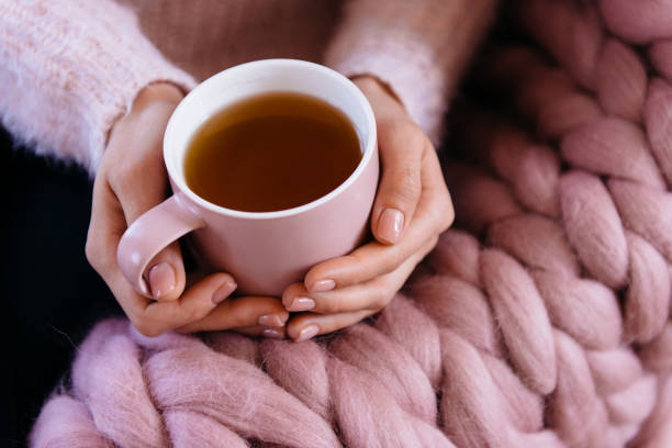 Cozy winter morning, woman hands holding teacup Woman sitting near giant, large warm merino wool plaid blanket wearing warm cozy pink sweater holding cup of hot aromatic tea. Fall or winter time concept. Girl drinking tea pink tea stock pictures, royalty-free photos & images