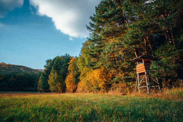 Hunting cabine in orange autumn nature, warm sunset light