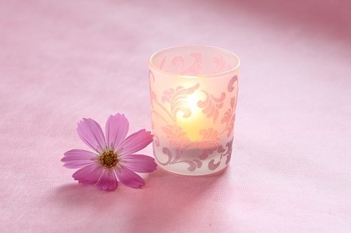 aroma candle and  cosmos (flower)