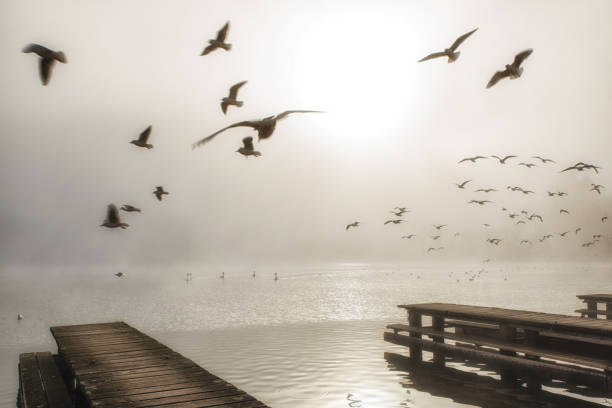 istock Wooden jetty juts into the Traunsee lake, 1051687812