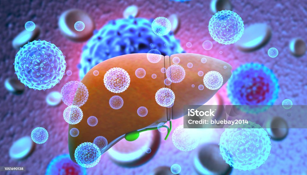 간염 바이러스와 간 감염 3차원 형태에 대한 스톡 사진 및 기타 이미지 - 3차원 형태, 가리기, 간염 - iStock