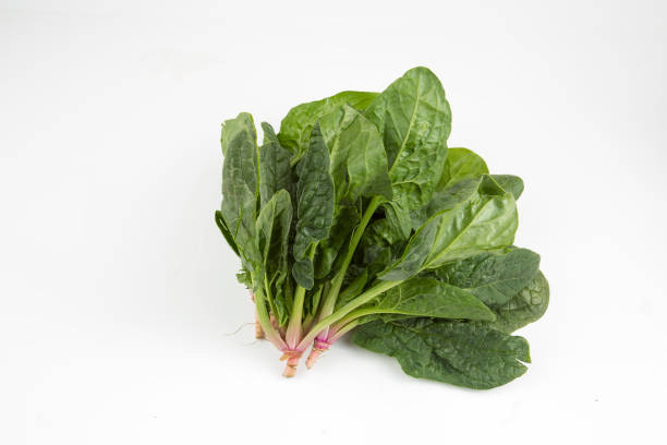istock Green fresh organic spinach on the white background 1051691650