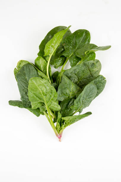 istock Green fresh organic spinach on the white background 1051691714