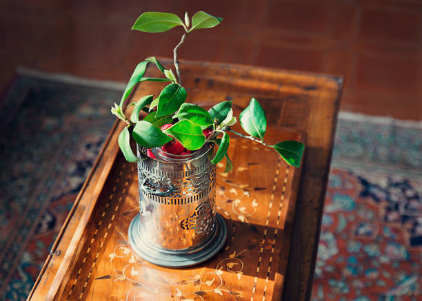 istock Green leaves in a can on beautiful vintage small table 1051693946