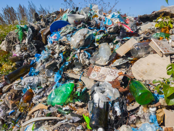 istock The garbage dump in nature, close up 1051694278