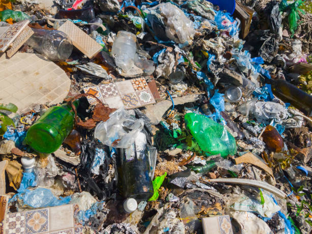 istock The garbage dump in nature, close up 1051694306