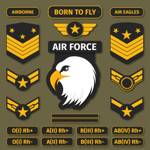 군사 배지 고 육군 패치입니다. ≪, 스티커 및 t-셔츠 그래픽에 대 한 군사 스타일 자 수 - air force insignia military armed forces stock illustrations