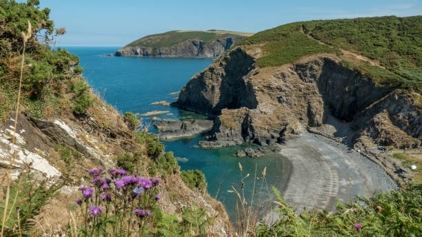 istock Coastal landscape in Pembrokeshire, Wales (United Kingdom) 1051702328