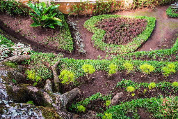 istock Beautiful decoration garden 1051706640
