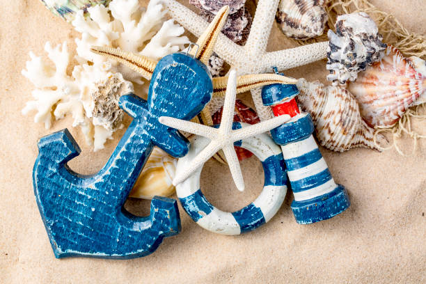 istock Various sea shells, concept, design, photo, background 1051706672
