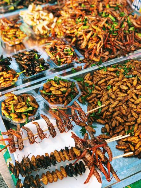 istock Roasted insects in Thailand 1051708048