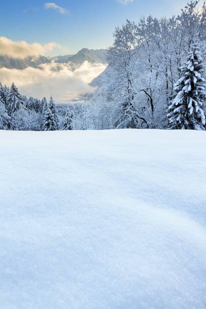 istock Powder snow in Vorarlberg Austria 1051715980