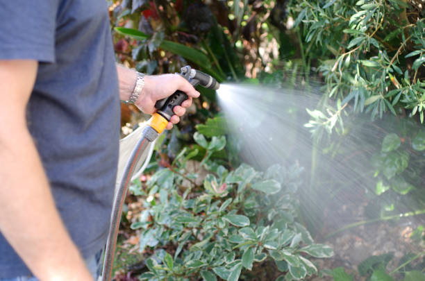 istock Watering the garden with a hosepipe 1051715998