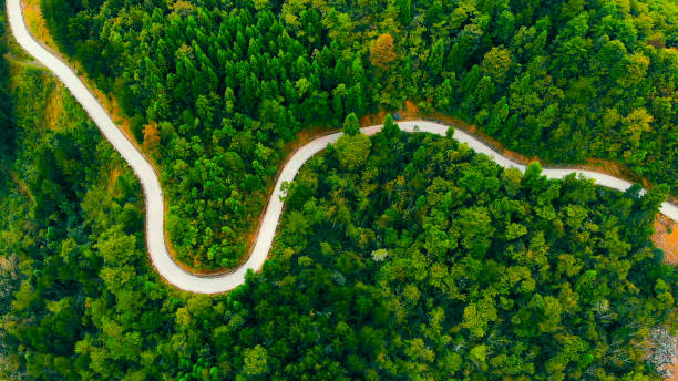 istock Aerial view road in forest 1051717394