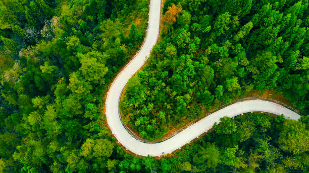 istock Aerial view road in forest 1051717538