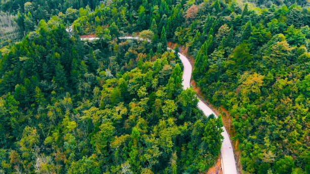 istock Aerial view road in forest 1051718052