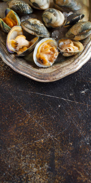 istock Metal tray with raw fresh vongole clams 1051718756