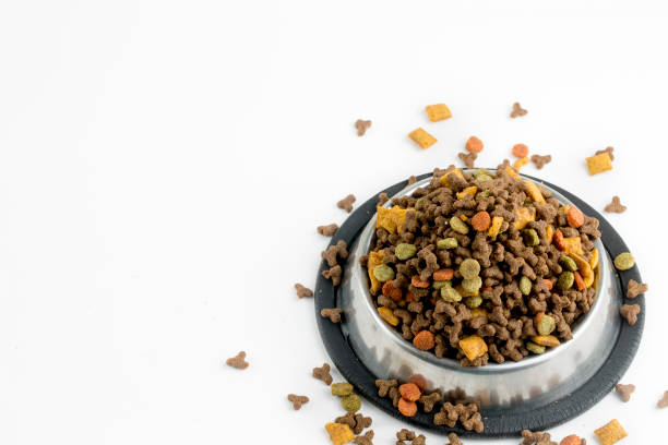 istock Pet animal; cat, dry food. 1051723648