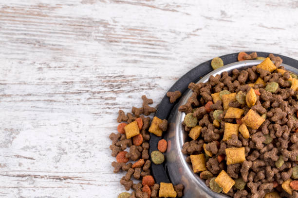 istock Pet animal; cat, dry food. 1051723650