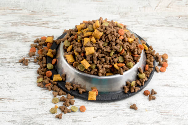 istock Pet animal; cat, dry food. 1051723658