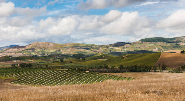 paisaje de sicilia cerca de gibellina - trapani fotografías e imágenes de stock