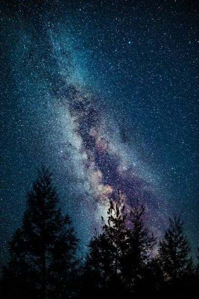 Milky Way above forest tree stock photo